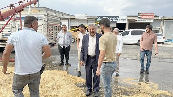 BAŞKAN ŞAHİN’DEN YAĞMURDA ZARAR GÖREN BUĞDAYCILARA ZİYARET