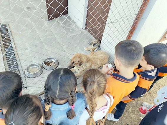 BELEDİYE’DEN SOKAK HAYVANLARINA YÖNELİK ÖRNEK ÇALIŞMA