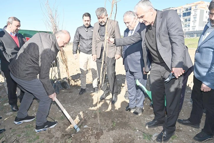 MEYVE FİDANLARI TOPRAKLA BULUŞTURULDU