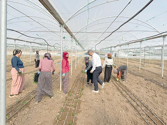 İL BAŞKANI ŞANSİ, SERADA EMEKÇİ KADINLARLA BULUŞTU