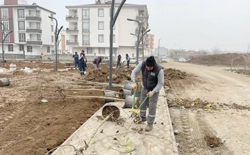 BELEDİYE, BATMAN’I AĞAÇLARLA YEŞİLLENDİRİYOR