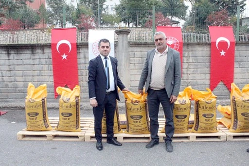 ÇİFTÇİLERE KIRMIZI MERCİMEK TOHUMU DAĞITILDI