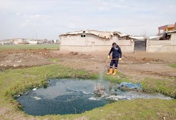 İLAÇLAMA ÇALIŞMALARI YIL BOYUNCA DEVAM EDİYOR