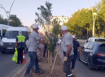 İSTASYON CADDESİNDE KALICI PEYZAJ DÜZENLEMESİ