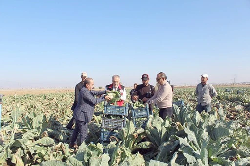 KARNABAHAR, MARUL VE LAHANA HASADI YAPILDI