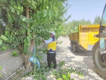 MEZARLIKLARDA ESTETİĞE BÜYÜK ÖNEM VERİLİYOR