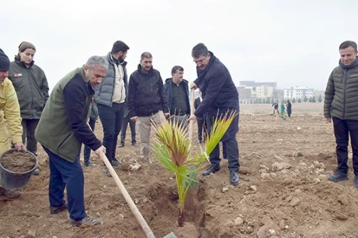 NASIROĞLU, FİDAN DİKİM ETKİNLİĞİNE KATILDI