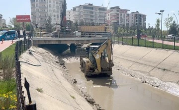 YEŞİL YÜRÜYÜŞ YOLU TEMİZLİK ÇALIŞMALARINA BAŞLANDI